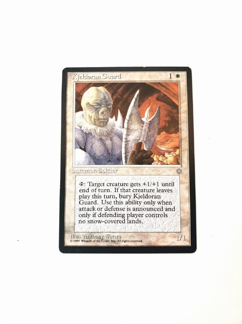 Kjeldoran Guard