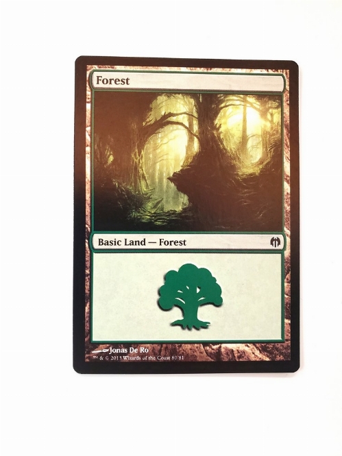 Forest (80)