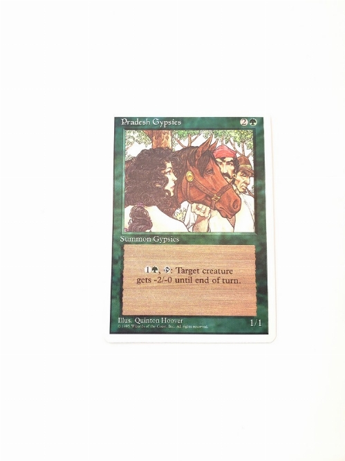 Pradesh Gypsies