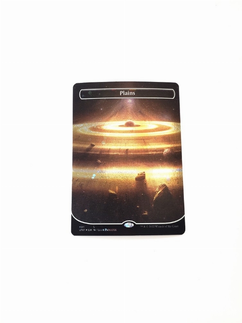 Plains (491) (Borderless) (Galaxy Foil)