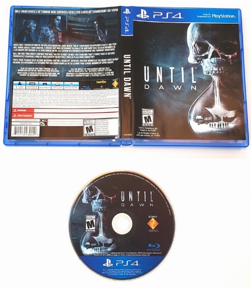 Until Dawn (CIB)
