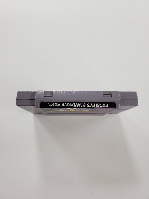 Addams Family: Pugsley's Scavenger Hunt, The (C)