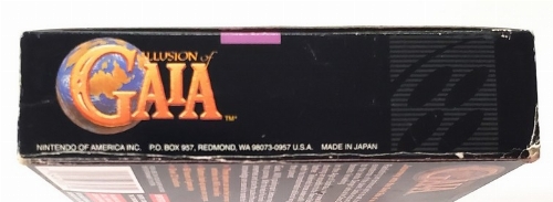 Illusion of Gaia (CIB)