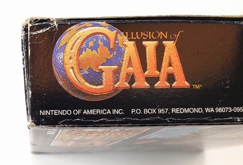 Illusion of Gaia (CIB)