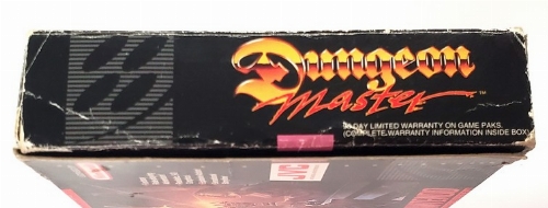 Dungeon Master (CIB)