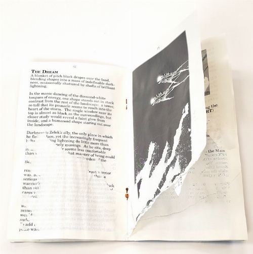 Shadow of the Beast II (CIB)