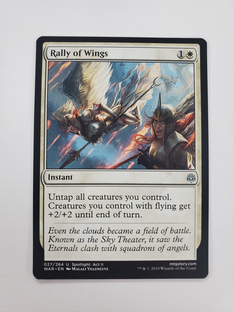 Rally of Wings