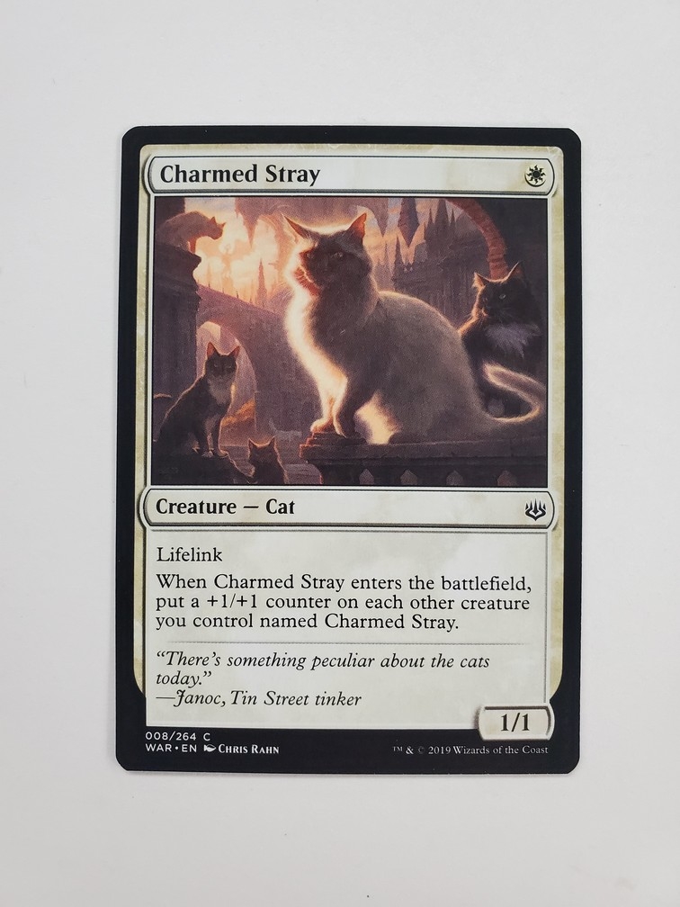 Charmed Stray