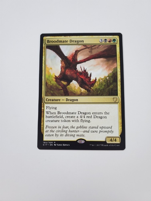 Broodmate Dragon