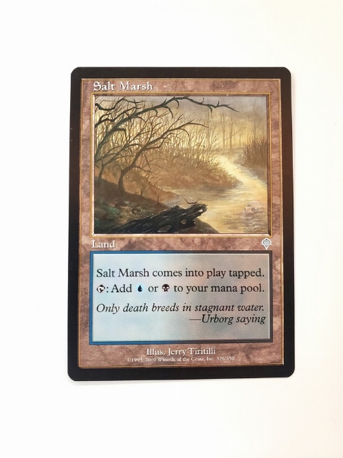 Salt Marsh