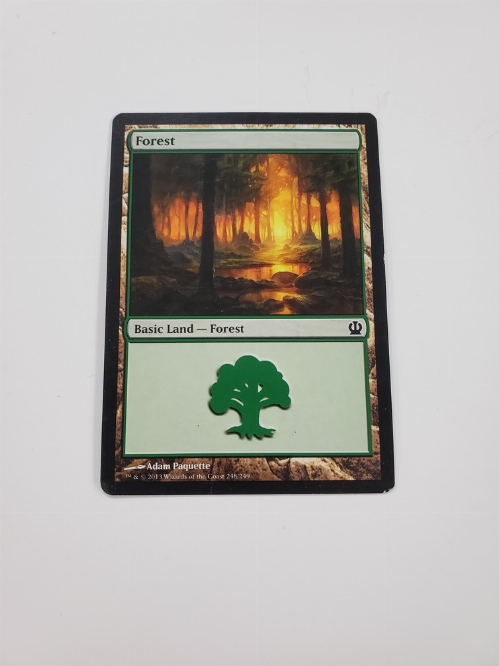 Forest (247/249)