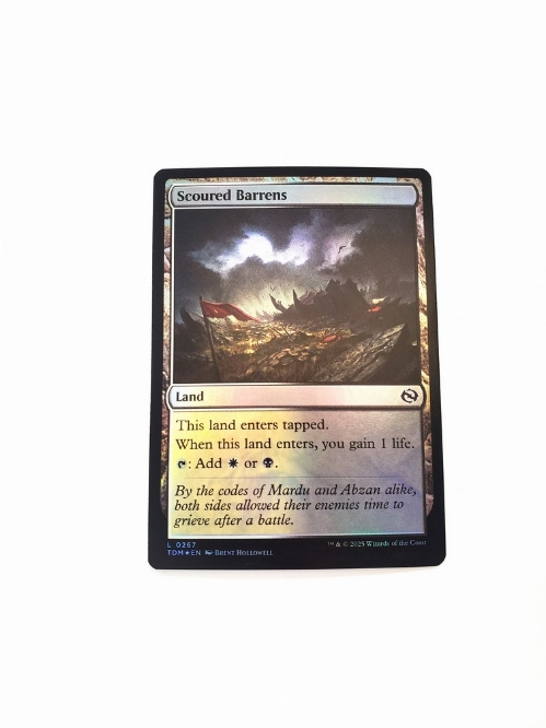 Scoured Barrens (Foil)