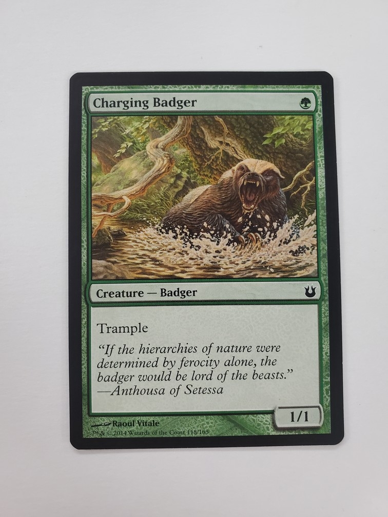 Charging Badger