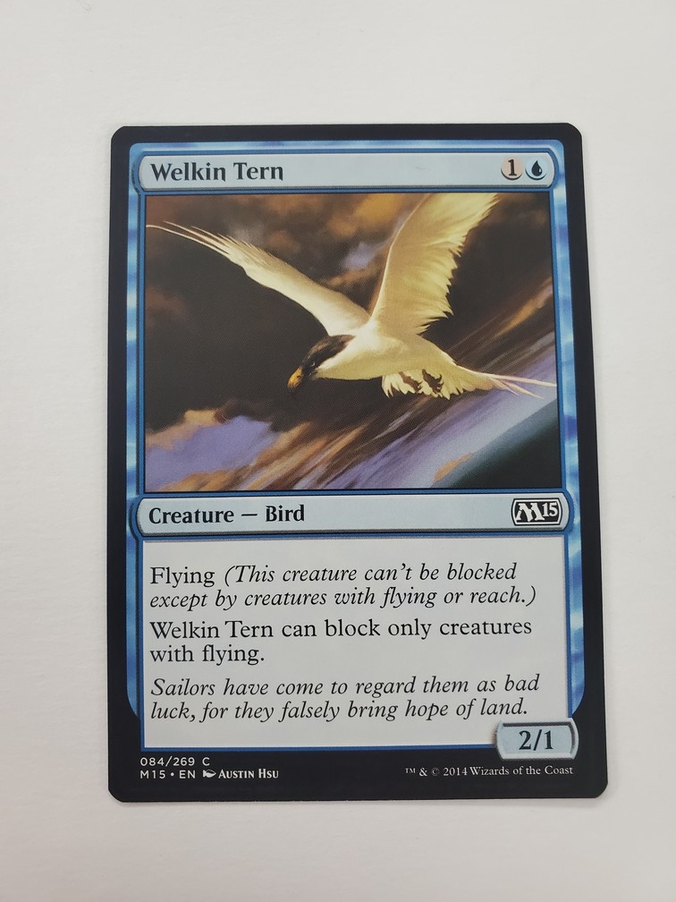 Welkin Tern