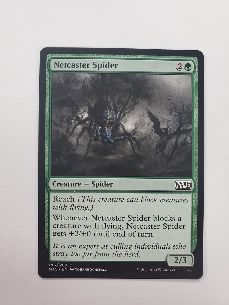 Netcaster Spider