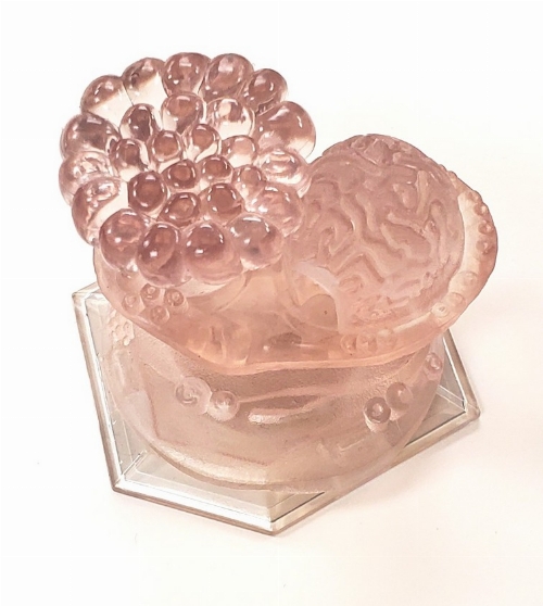 Finding Dory Playset