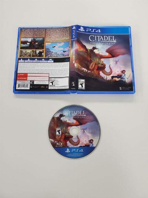 Citadel: Forged with Fire (CIB)