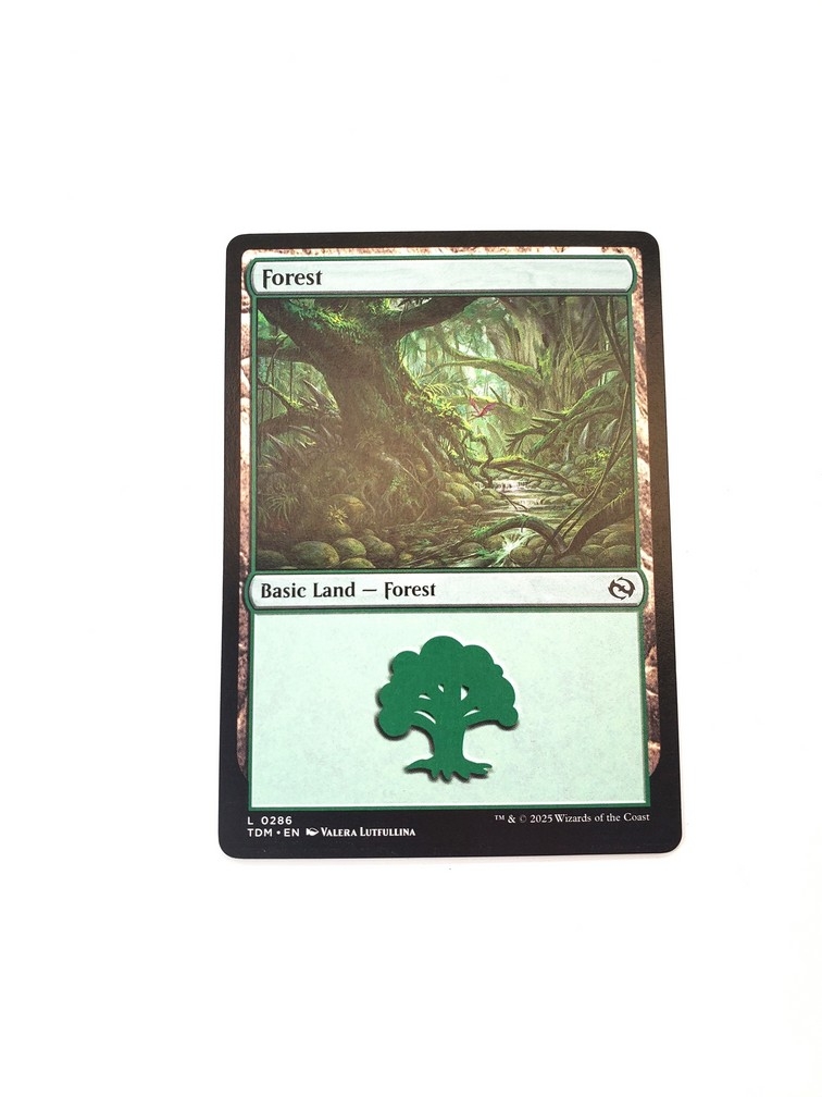 Forest (0286)