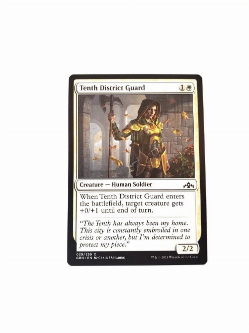 Tenth District Guard