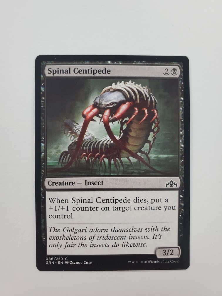 Spinal Centipede