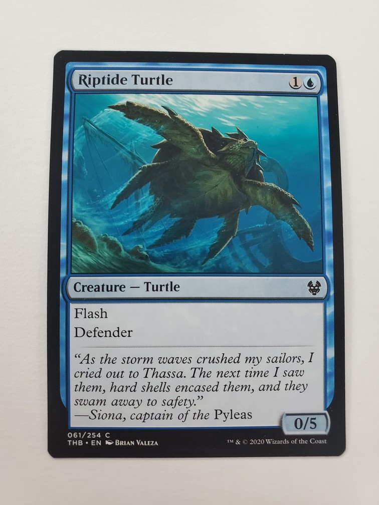 Riptide Turtle