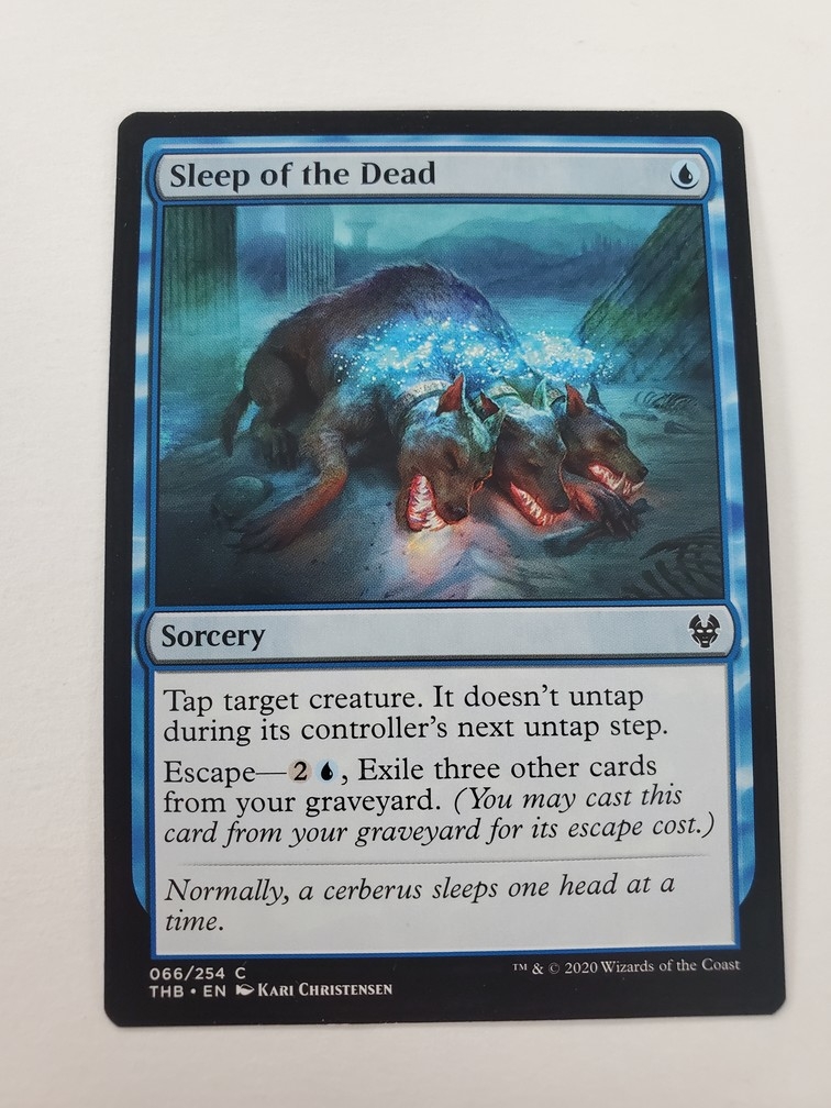 Sleep of the Dead