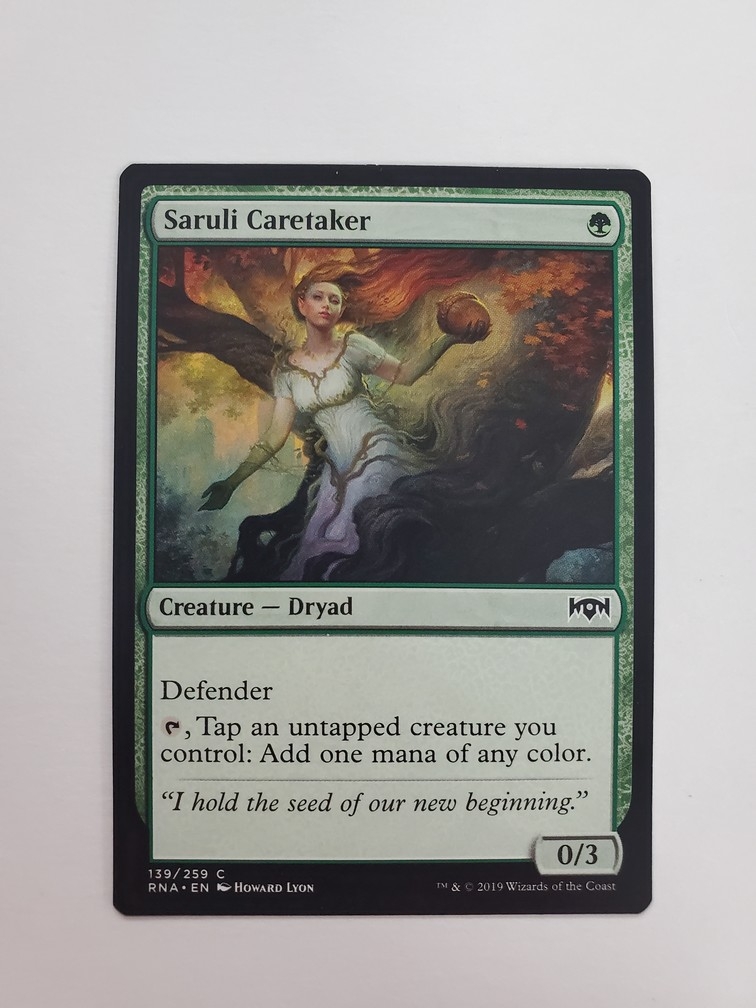 Saruli Caretaker