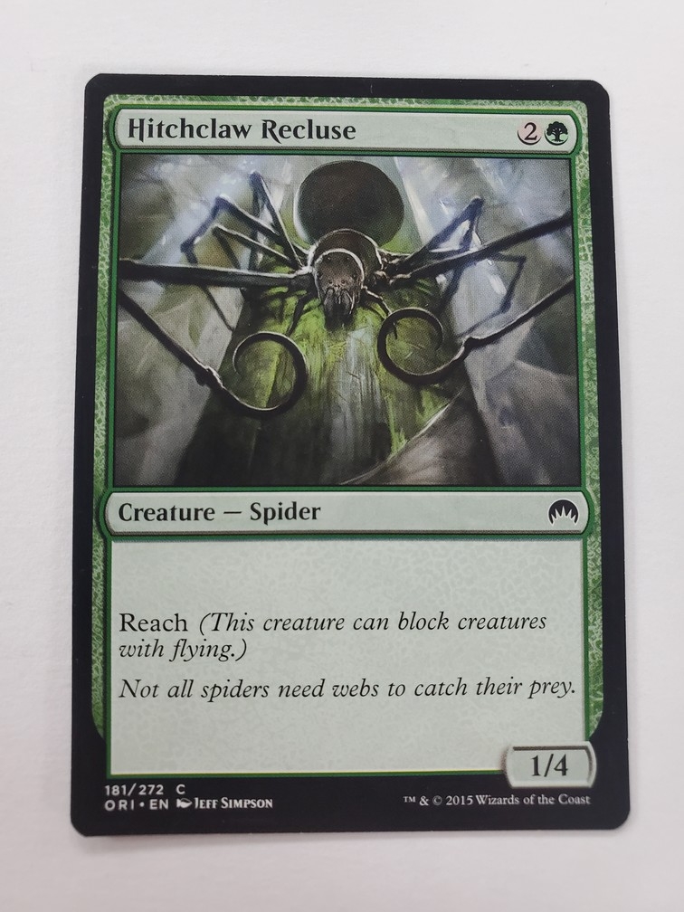 Hitchclaw Recluse