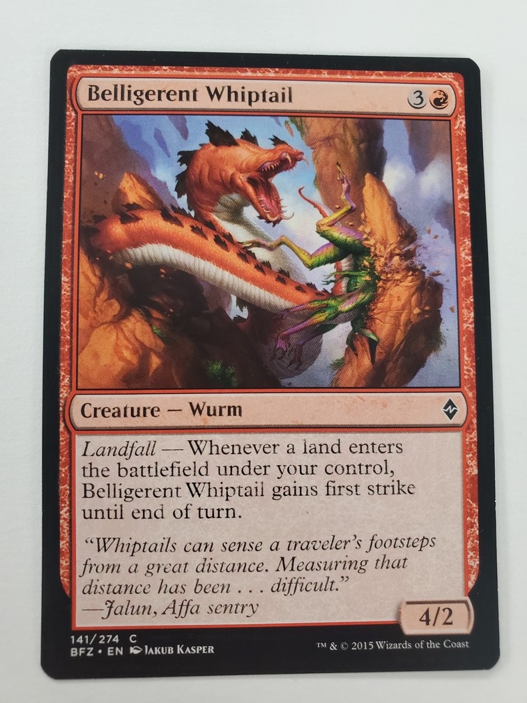 Belligerent Whiptail