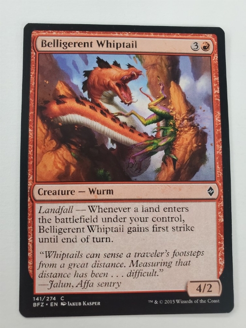 Belligerent Whiptail