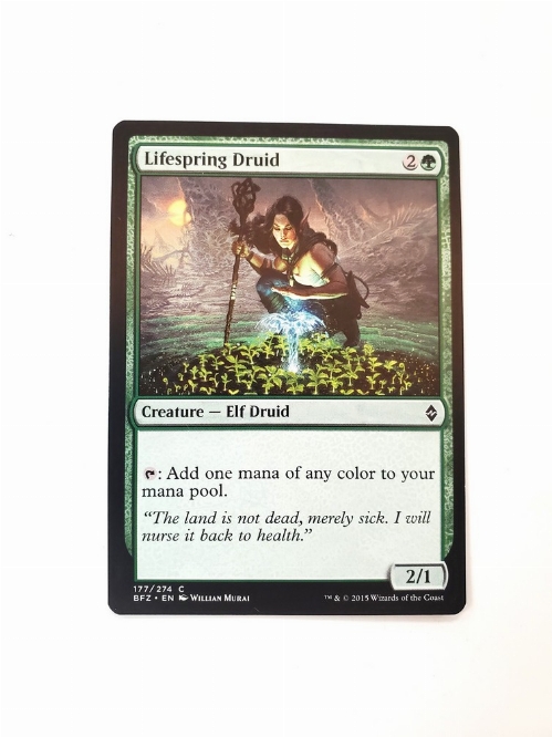 Lifespring Druid