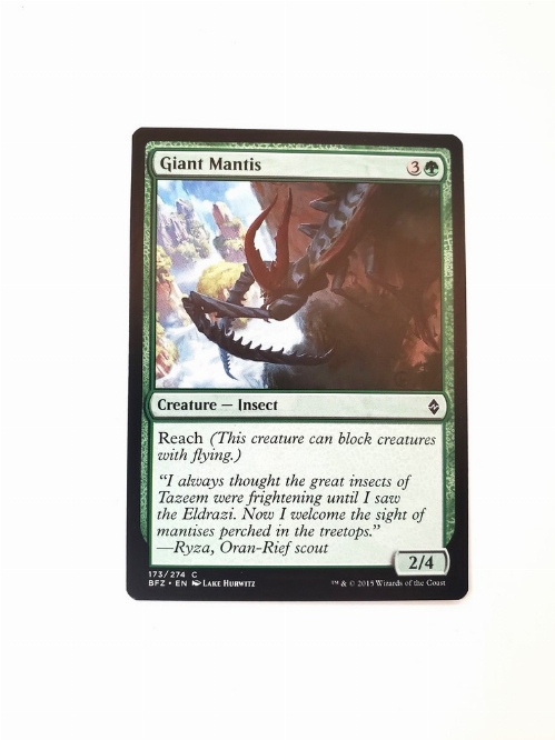 Giant Mantis
