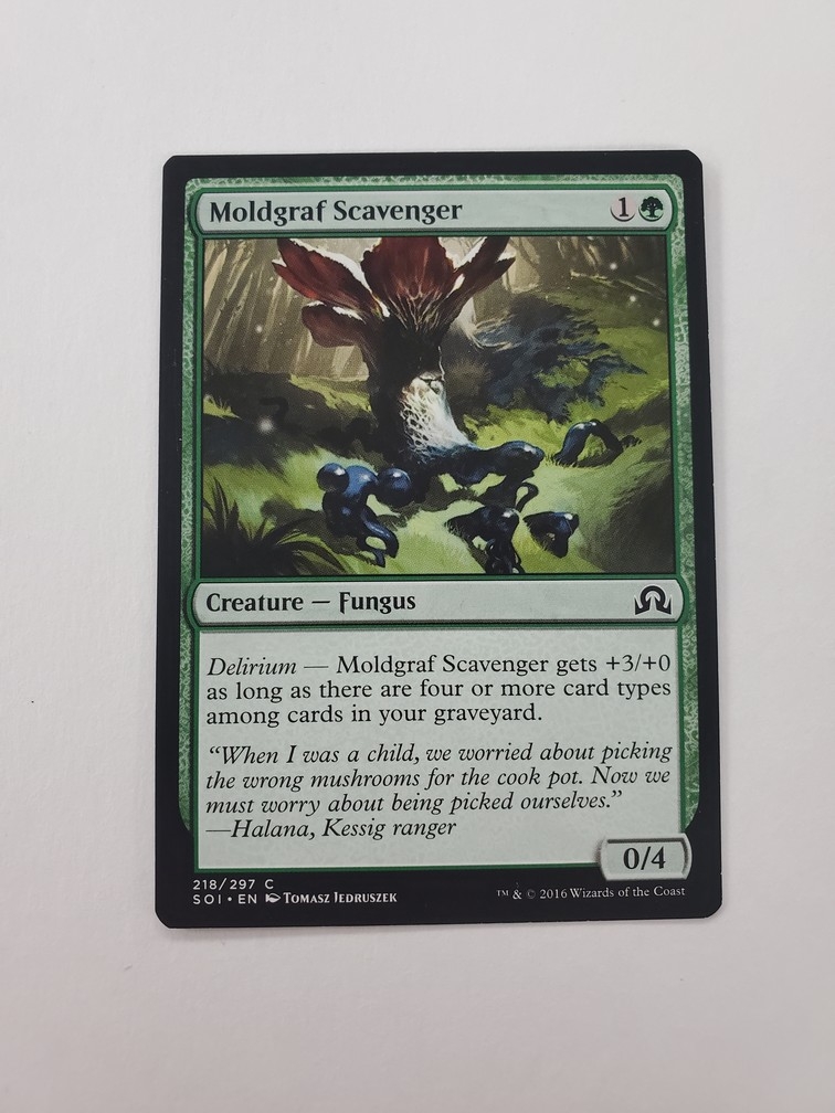 Moldgraf Scavenger