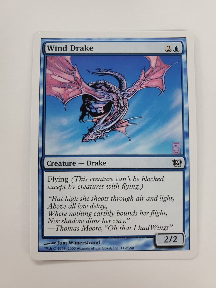Wind Drake