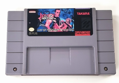 Art of Fighting * (C)