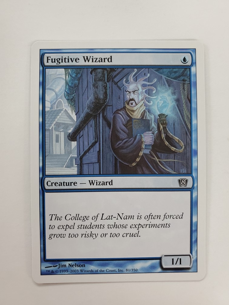 Fugitive Wizard