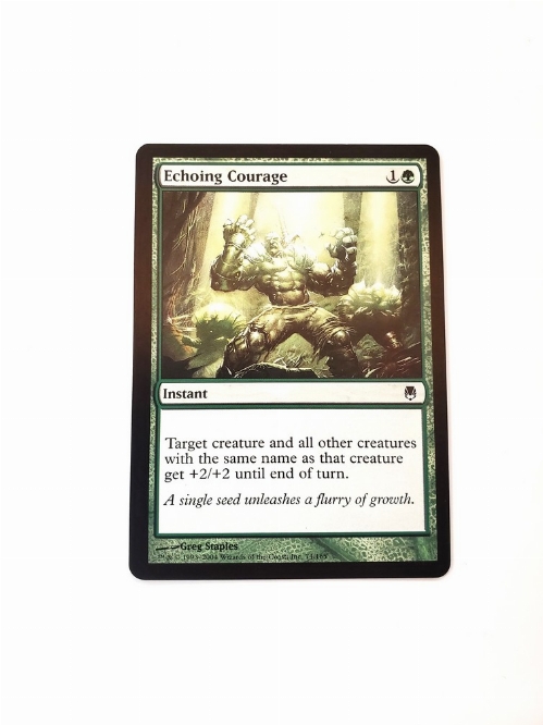 Echoing Courage