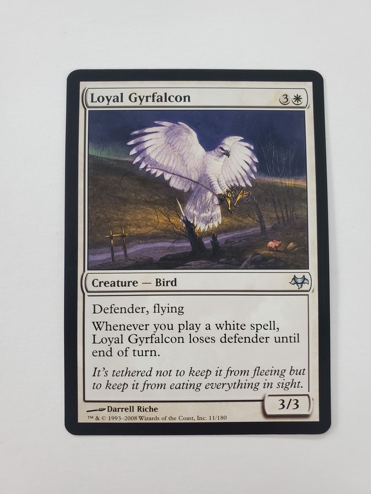 Loyal Gyrfalcon