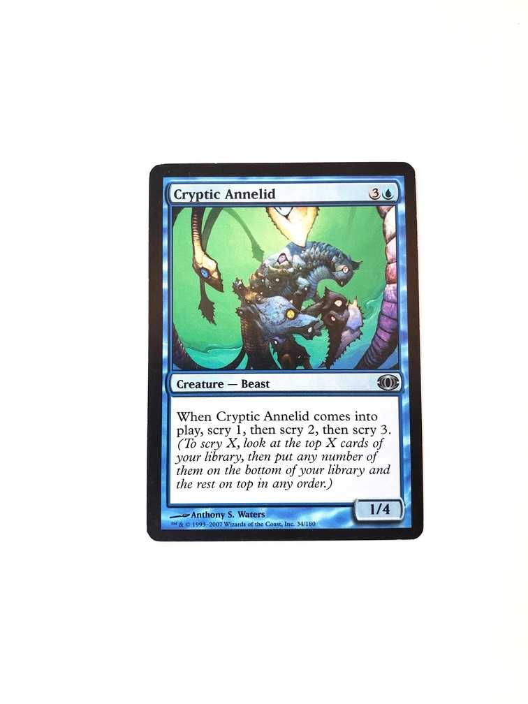 Cryptic Annelid