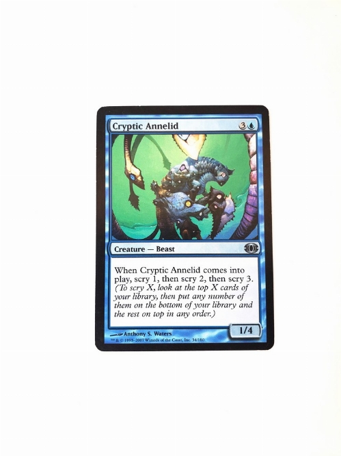 Cryptic Annelid