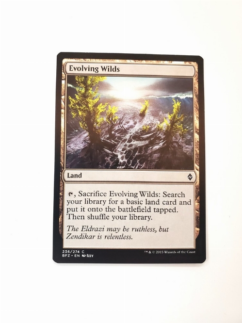 Evolving Wilds