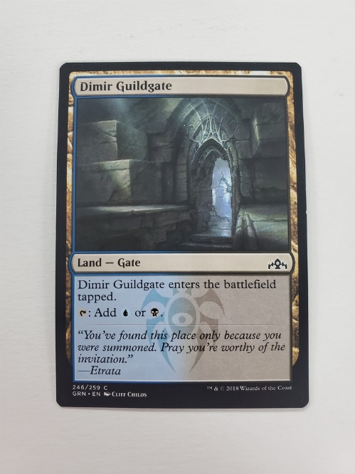 Dimir Guildgate (246/259)