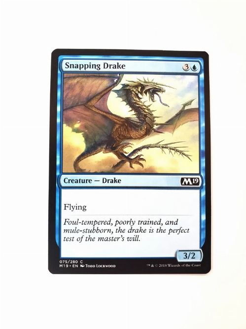 Snapping Drake