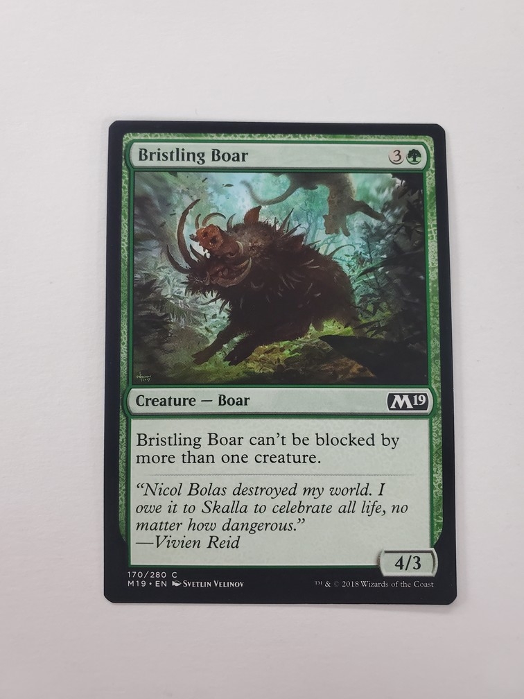 Bristling Boar