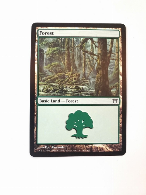 Forest (305)