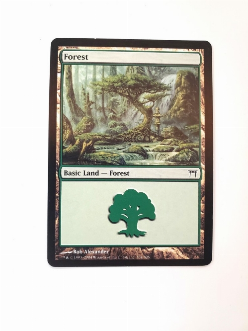 Forest (304)