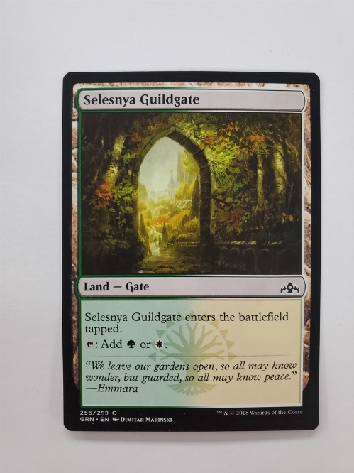 Selesnya Guildgate (256/259)
