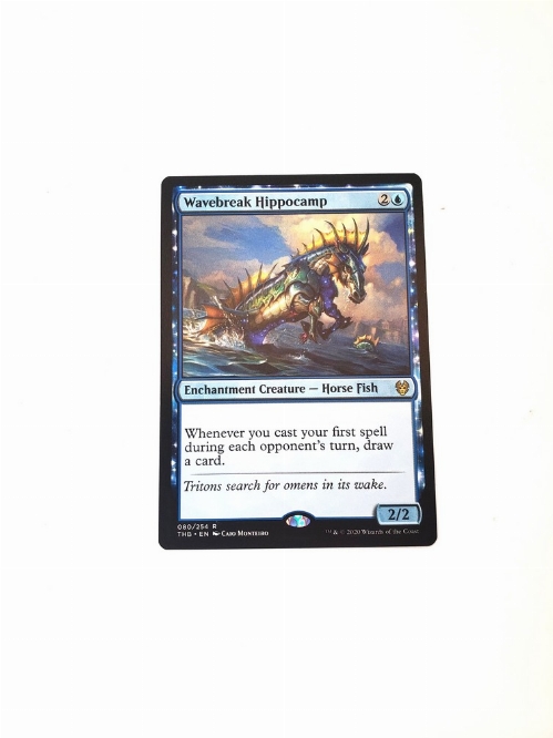 Wavebreak Hippocamp