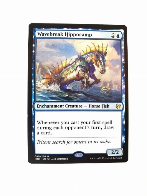 Wavebreak Hippocamp