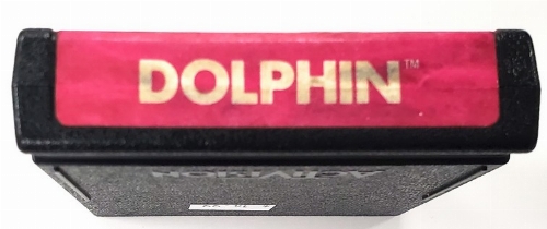 Dolphin (C)